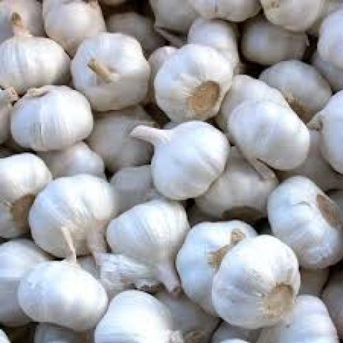 Garlic (Small)